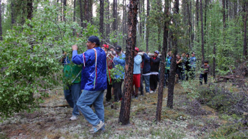 Brining in the tree - 1