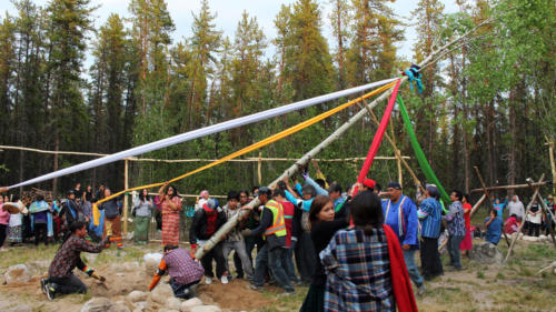 Lifting the tree 1 